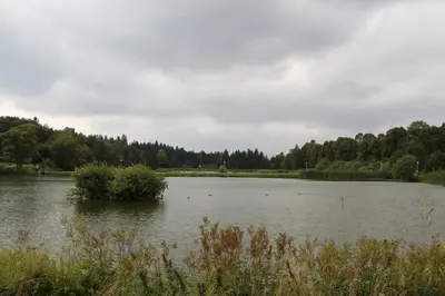 Naturlandschaft in der Nähe der Ferienwohnung