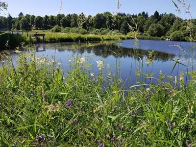Naturlandschaft in der Nähe der Ferienwohnung