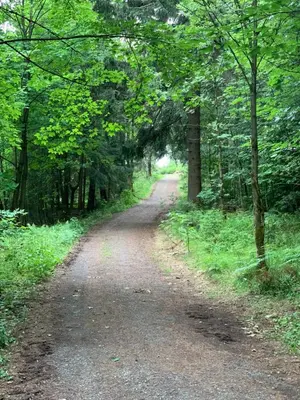 Naturlandschaft in der Nähe der Ferienwohnung