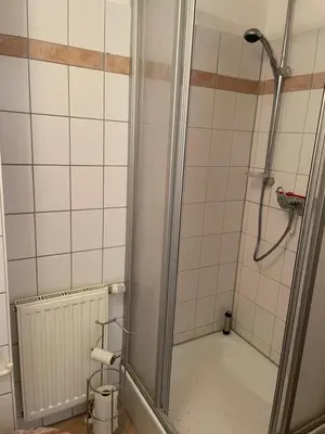 Ein Badezimmer in der Unterkunft Apartment an der Mühle in Wernigerode /Hasserode