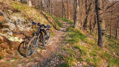 Radfahren an der Unterkunft Ferienhaus Nr 32, Typ A, Ferienanlage Blauvogel, Hasselfelde, Harz oder in der Nähe