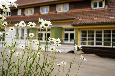 Ein Garten an der Unterkunft Pension Zum Hexenstieg