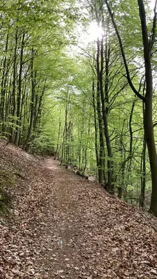 Naturlandschaft in der Nähe der Ferienwohnung