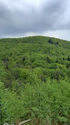 Naturlandschaft in der Nähe der Ferienwohnung