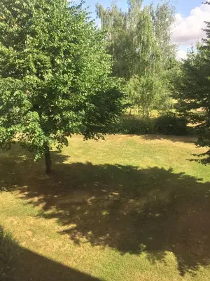 Ein Garten an der Unterkunft Ferienwohnung Sattlerbad