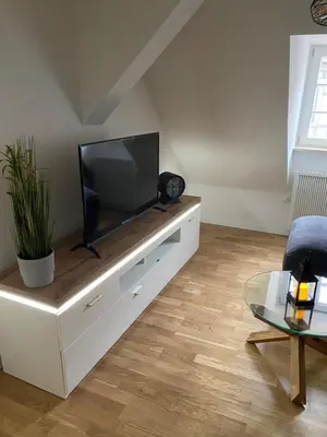 TV/Unterhaltungsangebot in der Unterkunft Harzer Kuschelnest