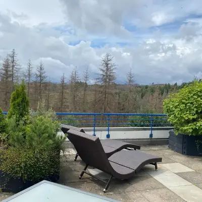 Ferienwohnung Harz #3