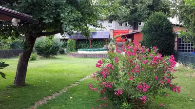 Ein Garten an der Unterkunft Gartenhaus Haufe