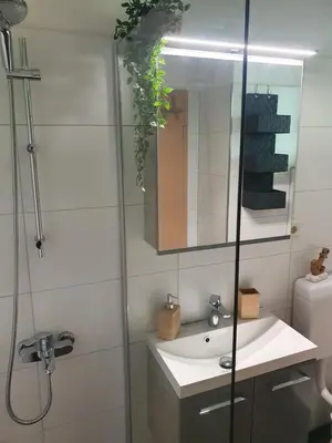 Ein Badezimmer in der Unterkunft Modernisierte Ferienwohnung Naturseelen mit Schwimmbad und Sauna