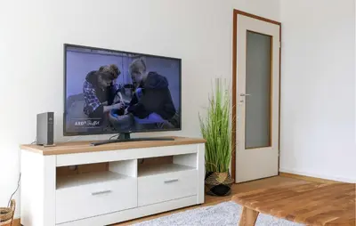 TV/Unterhaltungsangebot in der Unterkunft Pet Friendly Apartment