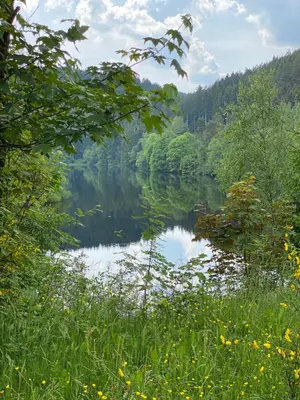 Naturlandschaft in der Nähe der Ferienwohnung