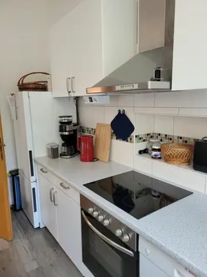 Küche/Küchenzeile in der Unterkunft Eulennest,Parkplatz,Wäschepaket,Reinigung inklusive