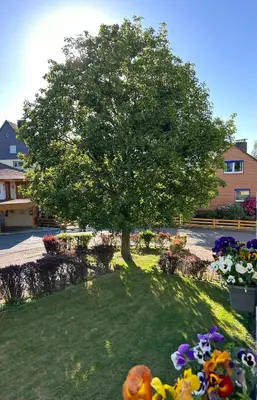 Ein Garten an der Unterkunft Kleine Auszeit am Wildgehege