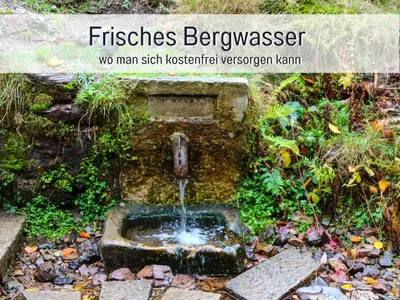Grundriss der Unterkunft MARKs Ferienwohnung in Bad Sachsa - waldnah, hundefreundlich, ruhig! Ideal für Paare mit Hund