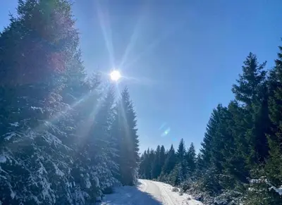 Ferienwohnung Tannhäuser im Winter