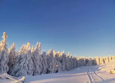 Ferienwohnung Tannhäuser im Winter