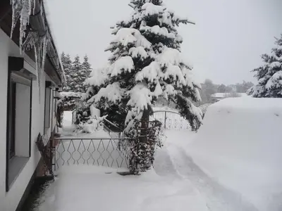 Bungalow Krebs im Winter