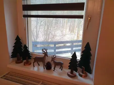 Tiere in der Ferienwohnung oder in der Nähe