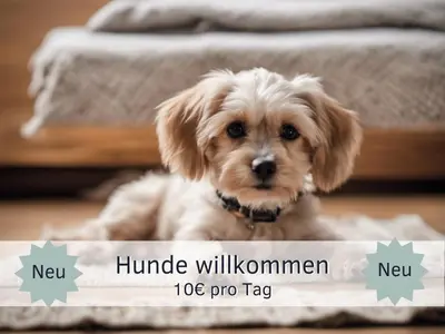 Haustiere von Gästen der Unterkunft Bude im Harz - Perfekt für Zwei plus Hund, Wanderer, Biker, Ruhesuchende, sonnige Loggia