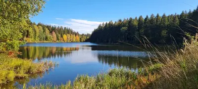 Naturlandschaft in der Nähe der Ferienwohnung