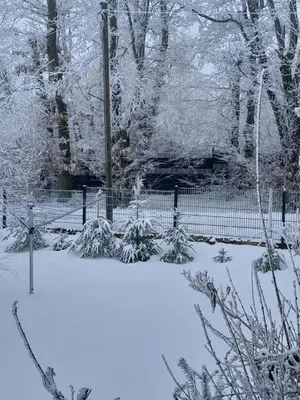 Ferienhaus Harzer Bauernhof im Winter