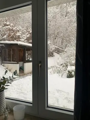 Ferienhaus Andrea am Bodetal im Winter