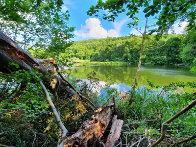 Naturlandschaft in der Nähe des Privatzimmers