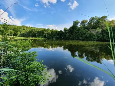 Naturlandschaft in der Nähe des Privatzimmers