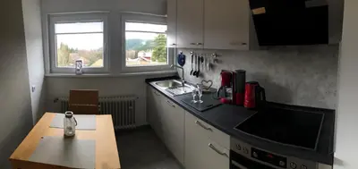 Küche/Küchenzeile in der Unterkunft Ferienwohnung Eichhörnchenkobel