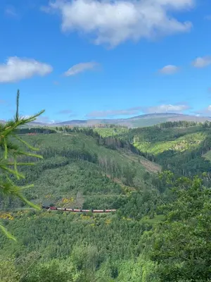 Naturlandschaft in der Nähe des Ferienhauses
