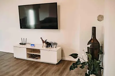 TV/Unterhaltungsangebot in der Unterkunft Brockenblick 1