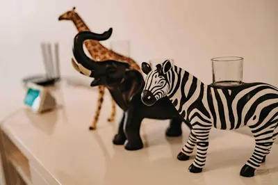 Tiere in der Ferienwohnung oder in der Nähe