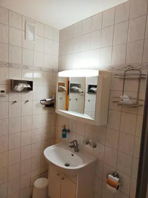 Ein Badezimmer in der Unterkunft Apartment Brockenblick mit tollen Blick und Schwimmbad