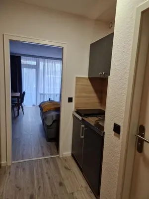 Küche/Küchenzeile in der Unterkunft Apartment am Bocksberg II