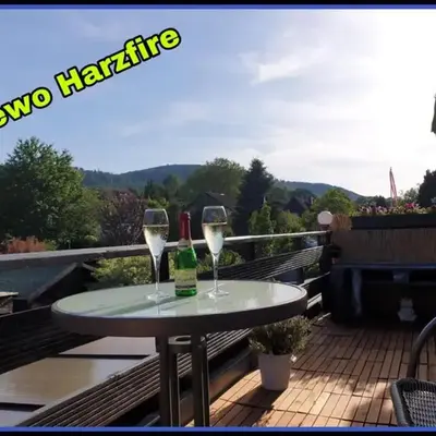 NEU! FeWo Harzfire mit Kamin
