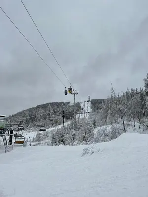 Hahnenkleer Tied 1 im Winter