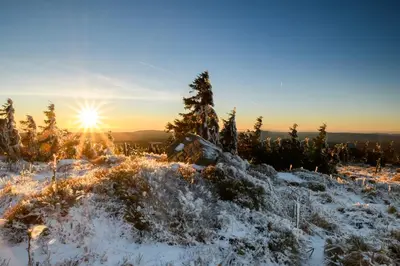 Naturlandschaft in der Nähe der Ferienwohnung