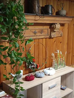 Grundriss der Unterkunft Haus Luise