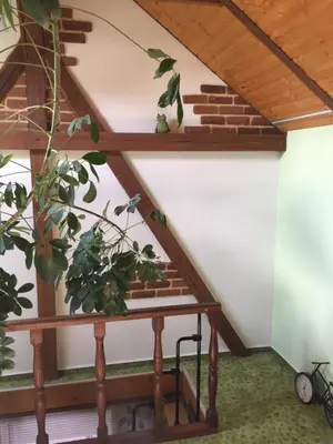Grundriss der Unterkunft Haus Luise