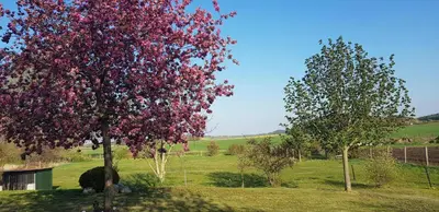 Ein Garten an der Unterkunft Ferienwohnung Hof Konietzke